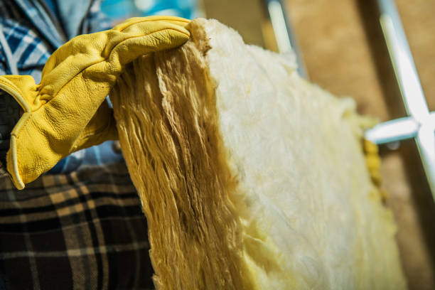 Best Cellulose Insulation in Edmonton, KY