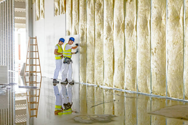 Best Insulation Maintenance and Repair in Edmonton, KY